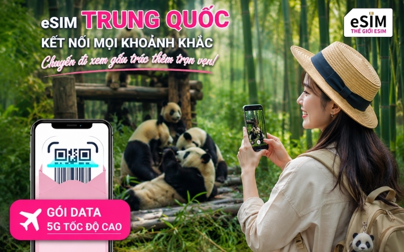 Chuẩn bị eSIM trước chuyến đi giúp chia sẻ ảnh, video nhanh chóng và kết nối internet ổn định